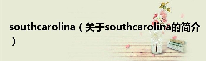 southcarolina（關(guān)于southcarolina的簡(jiǎn)介）