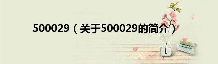 500029（關(guān)于500029的簡(jiǎn)介）