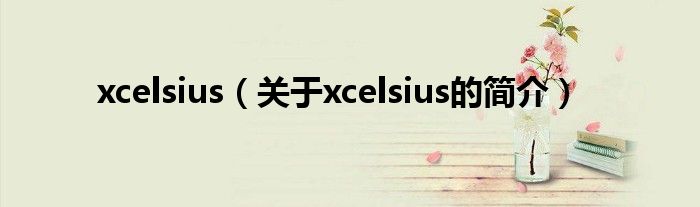 xcelsius（關(guān)于xcelsius的簡(jiǎn)介）