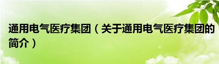 通用電氣醫(yī)療集團（關于通用電氣醫(yī)療集團的簡介）