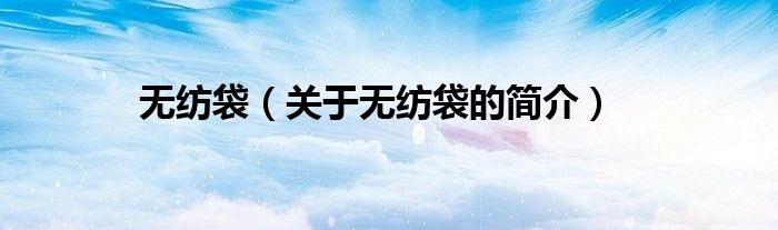 無紡袋（關(guān)于無紡袋的簡(jiǎn)介）