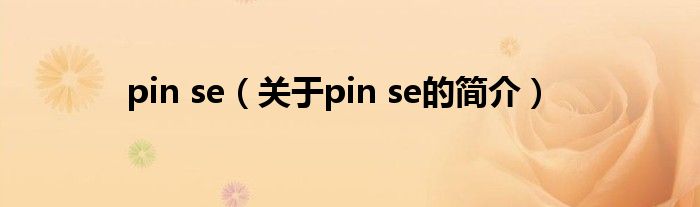 pin se（關(guān)于pin se的簡介）