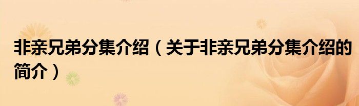 非親兄弟分集介紹（關(guān)于非親兄弟分集介紹的簡介）