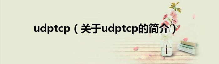 udptcp（關(guān)于udptcp的簡介）