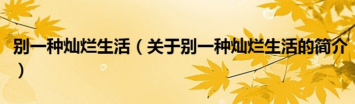 別一種燦爛生活（關于別一種燦爛生活的簡介）