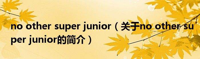 no other super junior（關(guān)于no other super junior的簡介）