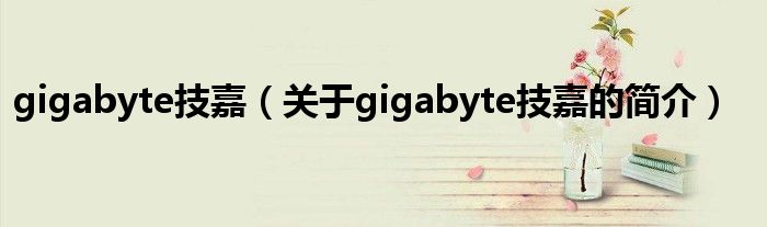 gigabyte技嘉（關于gigabyte技嘉的簡介）