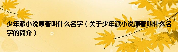 少年派小說原著叫什么名字（關于少年派小說原著叫什么名字的簡介）