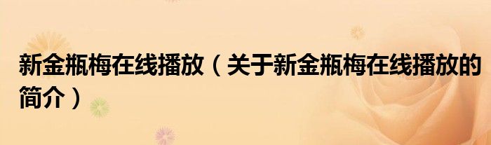 新金瓶梅在線播放（關于新金瓶梅在線播放的簡介）