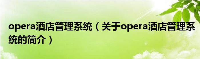 opera酒店管理系統(tǒng)（關于opera酒店管理系統(tǒng)的簡介）