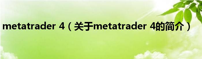 metatrader 4（關(guān)于metatrader 4的簡介）