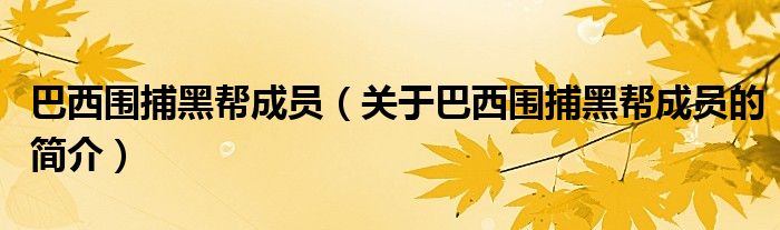 巴西圍捕黑幫成員（關(guān)于巴西圍捕黑幫成員的簡介）