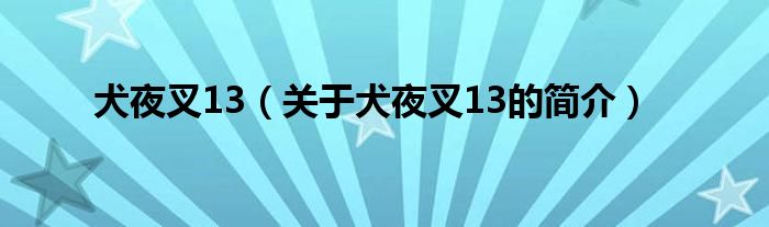 犬夜叉13（關(guān)于犬夜叉13的簡(jiǎn)介）