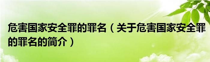 危害國家安全罪的罪名（關(guān)于危害國家安全罪的罪名的簡介）