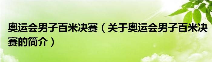 奧運會男子百米決賽（關(guān)于奧運會男子百米決賽的簡介）