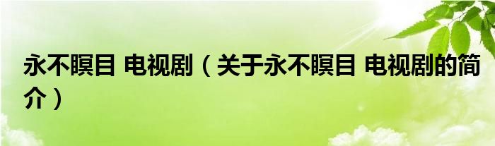 永不瞑目 電視?。P(guān)于永不瞑目 電視劇的簡介）