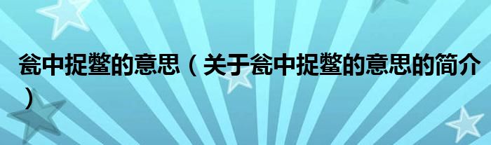 甕中捉鱉的意思（關(guān)于甕中捉鱉的意思的簡介）