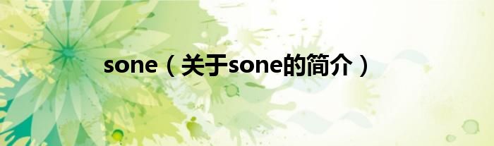 sone（關于sone的簡介）