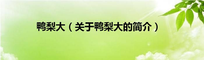 鴨梨大（關(guān)于鴨梨大的簡介）