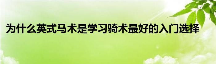 為什么英式馬術是學習騎術最好的入門選擇