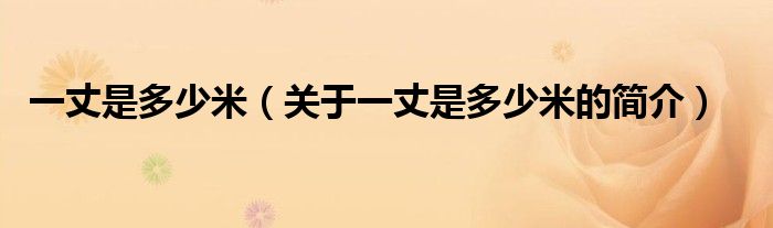 一丈是多少米（關(guān)于一丈是多少米的簡介）