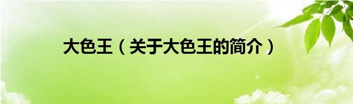 大色王（關(guān)于大色王的簡介）