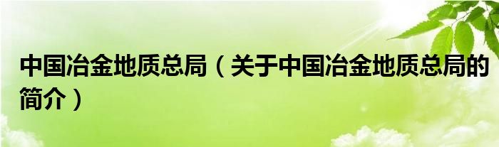 中國冶金地質(zhì)總局（關(guān)于中國冶金地質(zhì)總局的簡介）