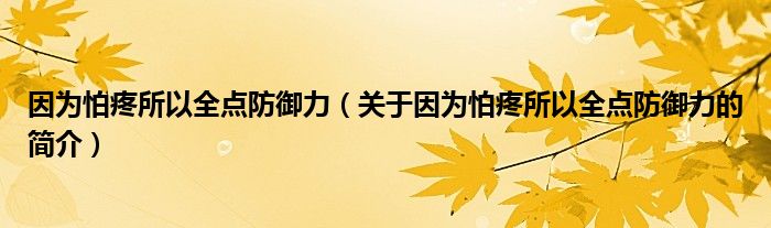 因為怕疼所以全點防御力（關(guān)于因為怕疼所以全點防御力的簡介）