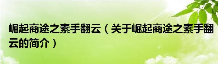 崛起商途之素手翻云（關于崛起商途之素手翻云的簡介）