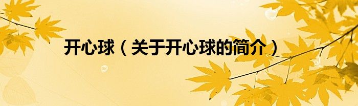 開心球（關(guān)于開心球的簡(jiǎn)介）