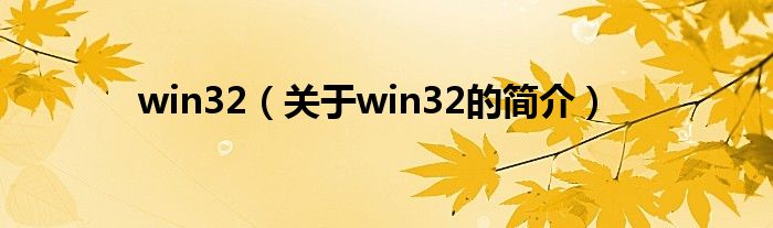 win32（關(guān)于win32的簡介）