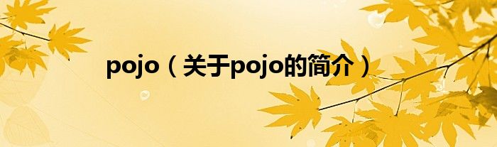 pojo（關于pojo的簡介）