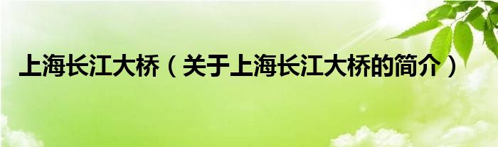 上海長(zhǎng)江大橋（關(guān)于上海長(zhǎng)江大橋的簡(jiǎn)介）