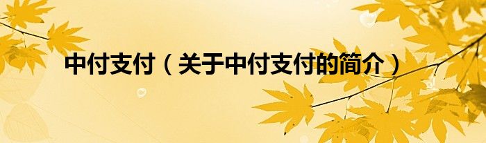 中付支付（關于中付支付的簡介）