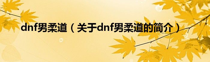 dnf男柔道（關(guān)于dnf男柔道的簡介）