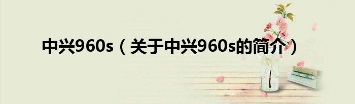 中興960s（關(guān)于中興960s的簡(jiǎn)介）