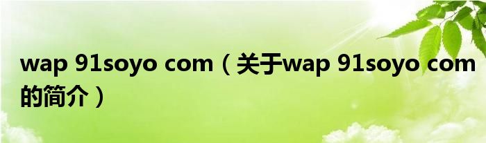 wap 91soyo com（關于wap 91soyo com的簡介）