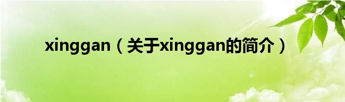 xinggan（關(guān)于xinggan的簡(jiǎn)介）