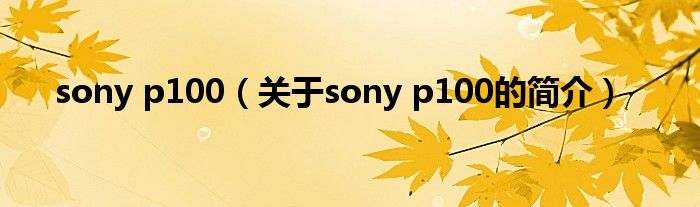 sony p100（關于sony p100的簡介）