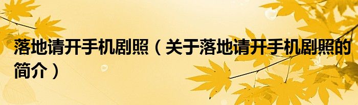 落地請開手機劇照（關于落地請開手機劇照的簡介）