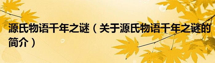 源氏物語(yǔ)千年之謎（關(guān)于源氏物語(yǔ)千年之謎的簡(jiǎn)介）