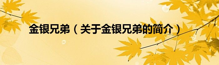 金銀兄弟（關(guān)于金銀兄弟的簡介）