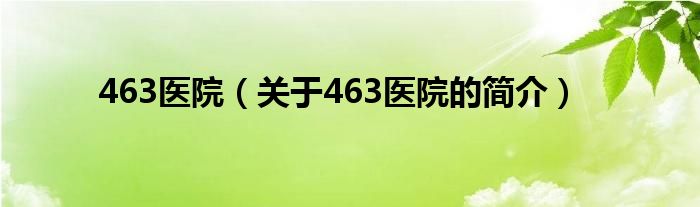 463醫(yī)院（關(guān)于463醫(yī)院的簡(jiǎn)介）