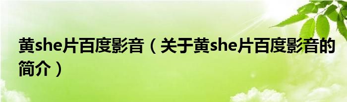 黃she片百度影音（關(guān)于黃she片百度影音的簡介）