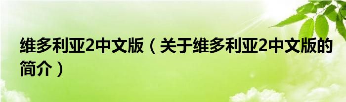 維多利亞2中文版（關(guān)于維多利亞2中文版的簡(jiǎn)介）