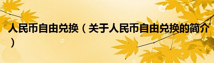 人民幣自由兌換（關(guān)于人民幣自由兌換的簡(jiǎn)介）