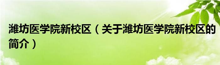 濰坊醫(yī)學(xué)院新校區(qū)（關(guān)于濰坊醫(yī)學(xué)院新校區(qū)的簡介）