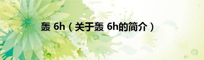 轟 6h（關(guān)于轟 6h的簡介）