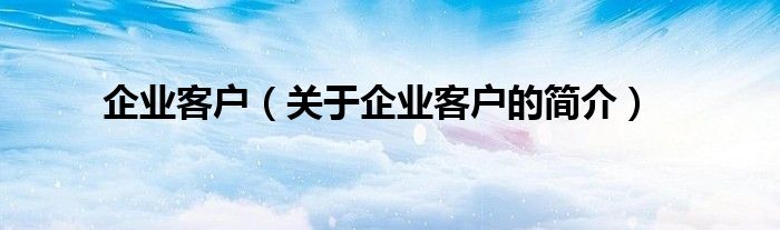 企業(yè)客戶（關(guān)于企業(yè)客戶的簡介）