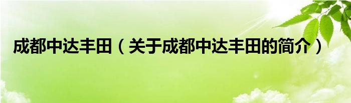 成都中達(dá)豐田（關(guān)于成都中達(dá)豐田的簡(jiǎn)介）